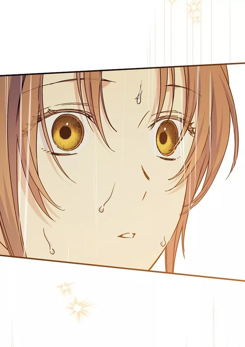 Read A Capable Maid Manga Online