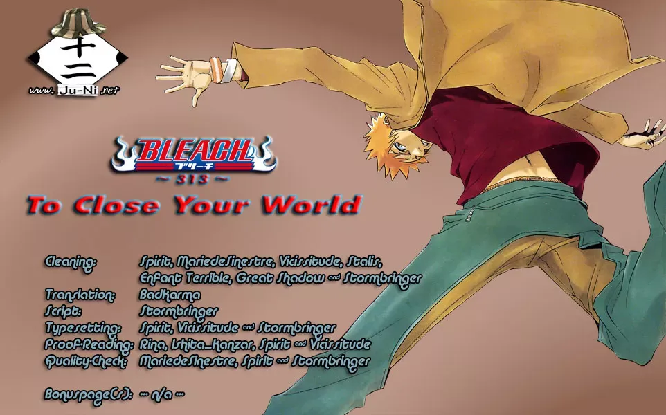 Read Bleach Manga Online