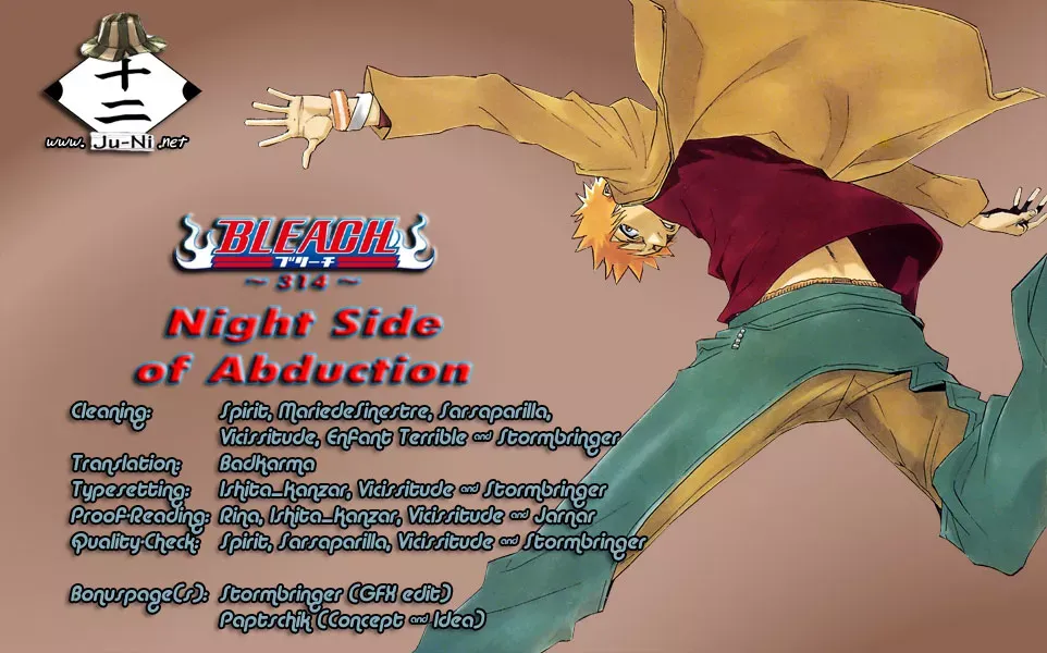 Read Bleach Manga Online
