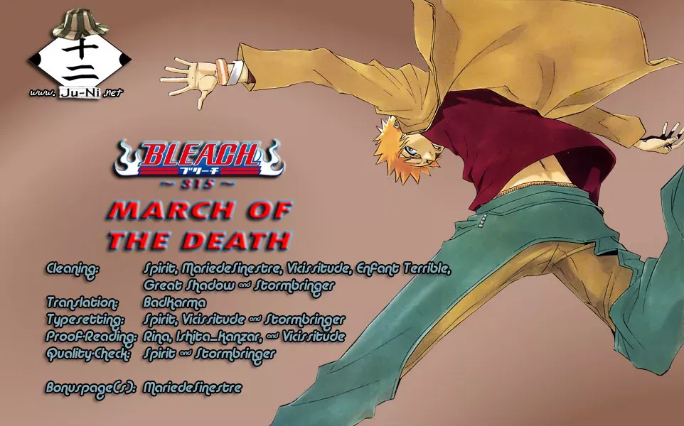 Read Bleach Manga Online