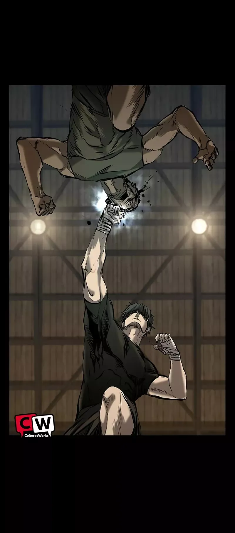 Read Castle 2: Pinnacle Manga Online