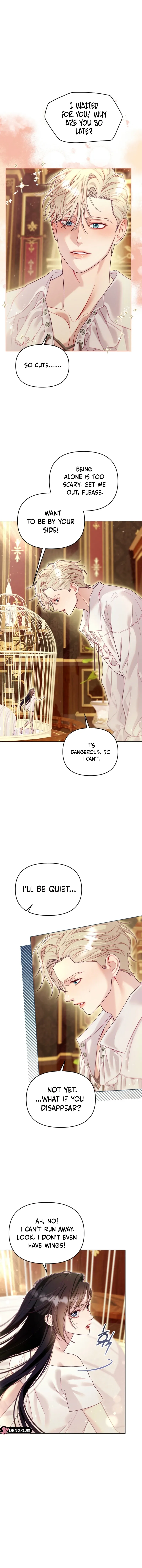 Read Collector's Cage Manga Online