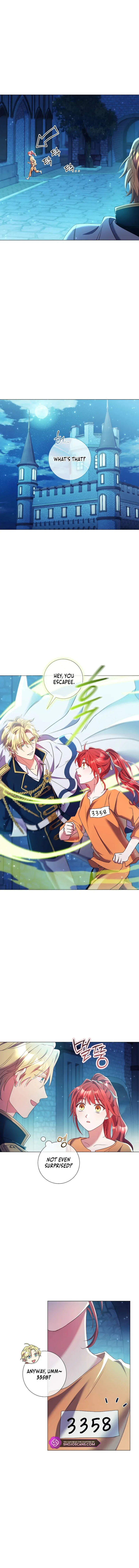 Read Divorcing the Emperor Manga Online