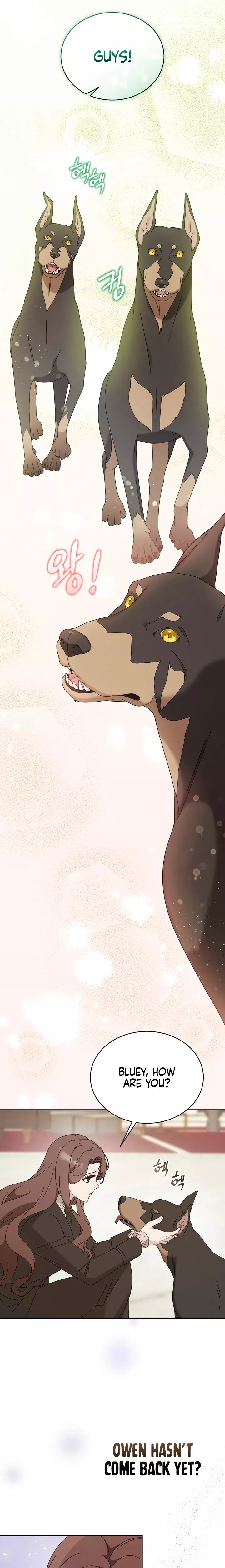 Read Doberman Manga Online