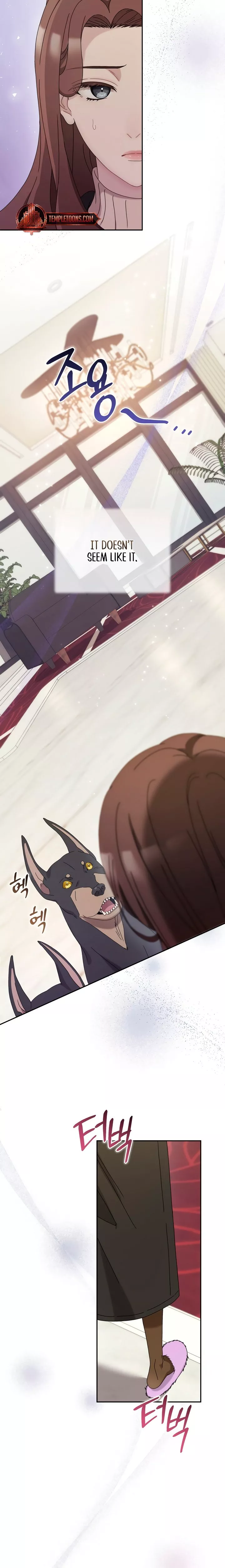 Read Doberman Manga Online