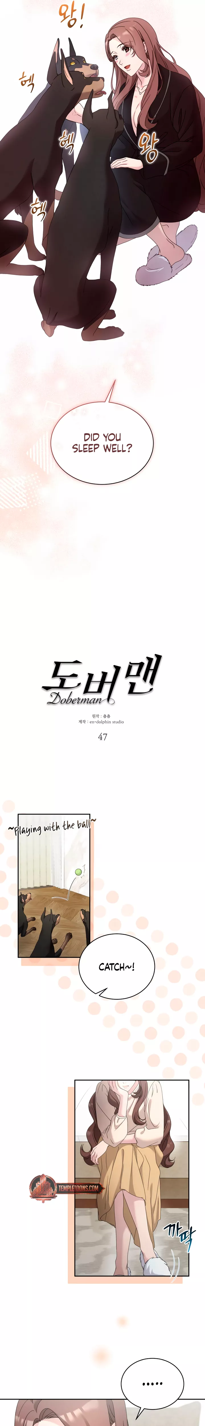 Read Doberman Manga Online