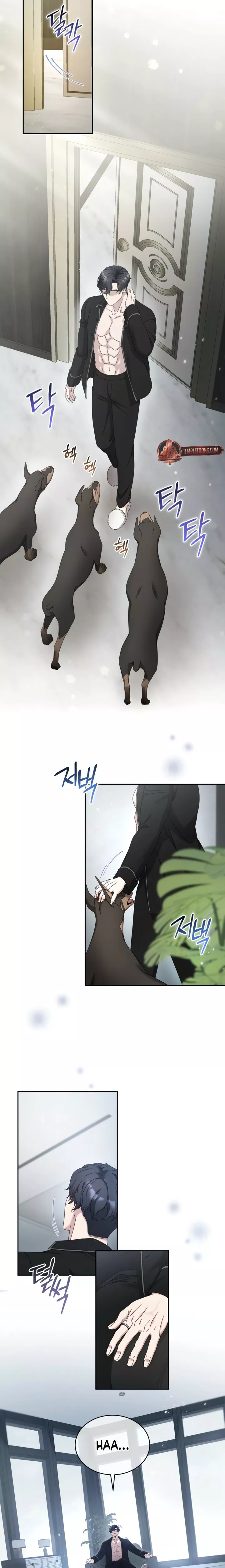 Read Doberman Manga Online