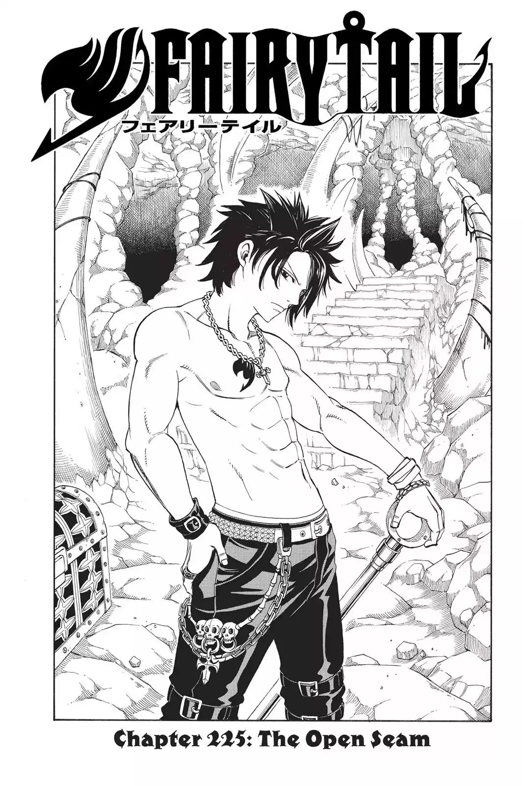 Read Fairy Tail Manga Online
