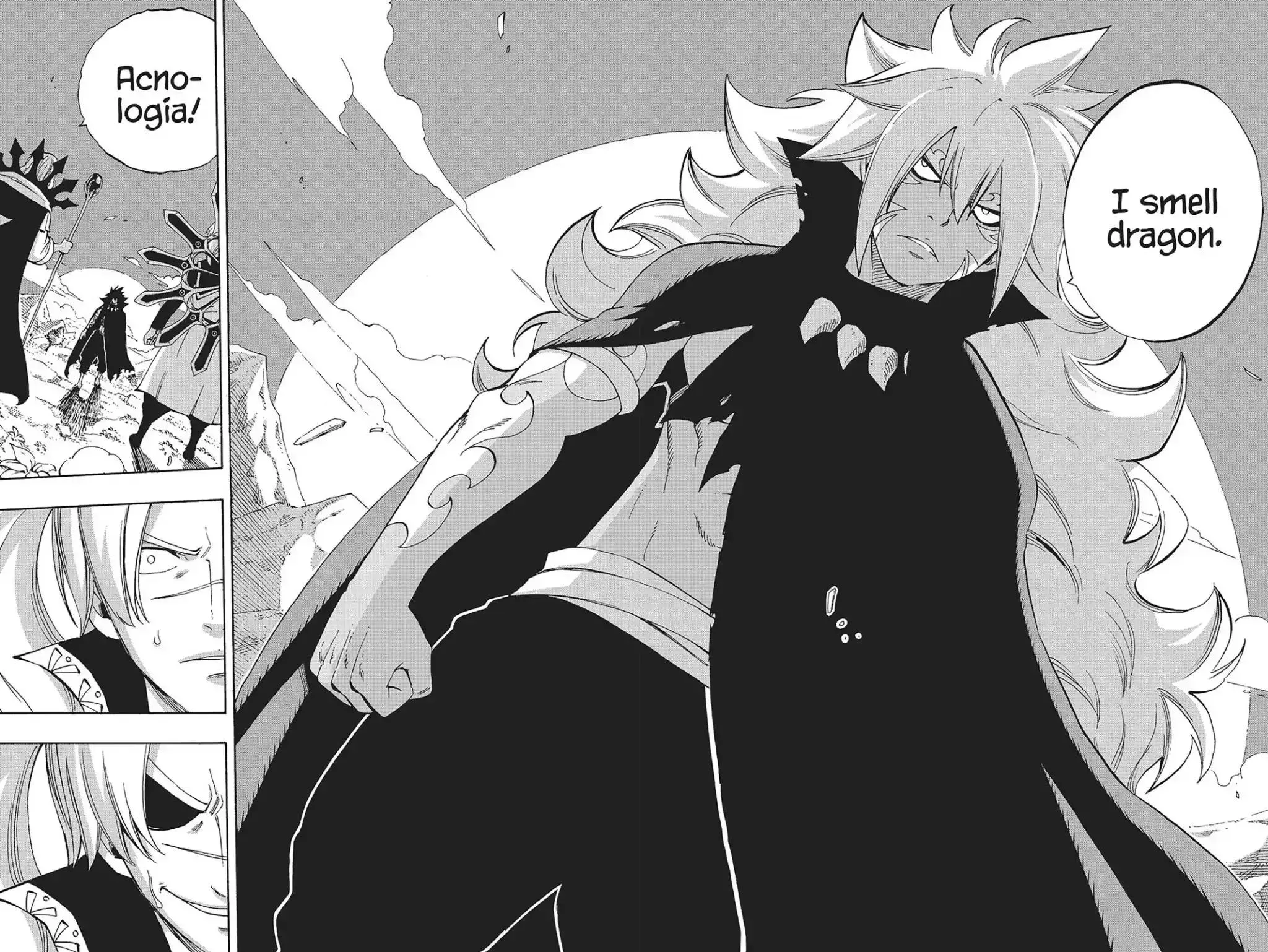 Read Fairy Tail Manga Online
