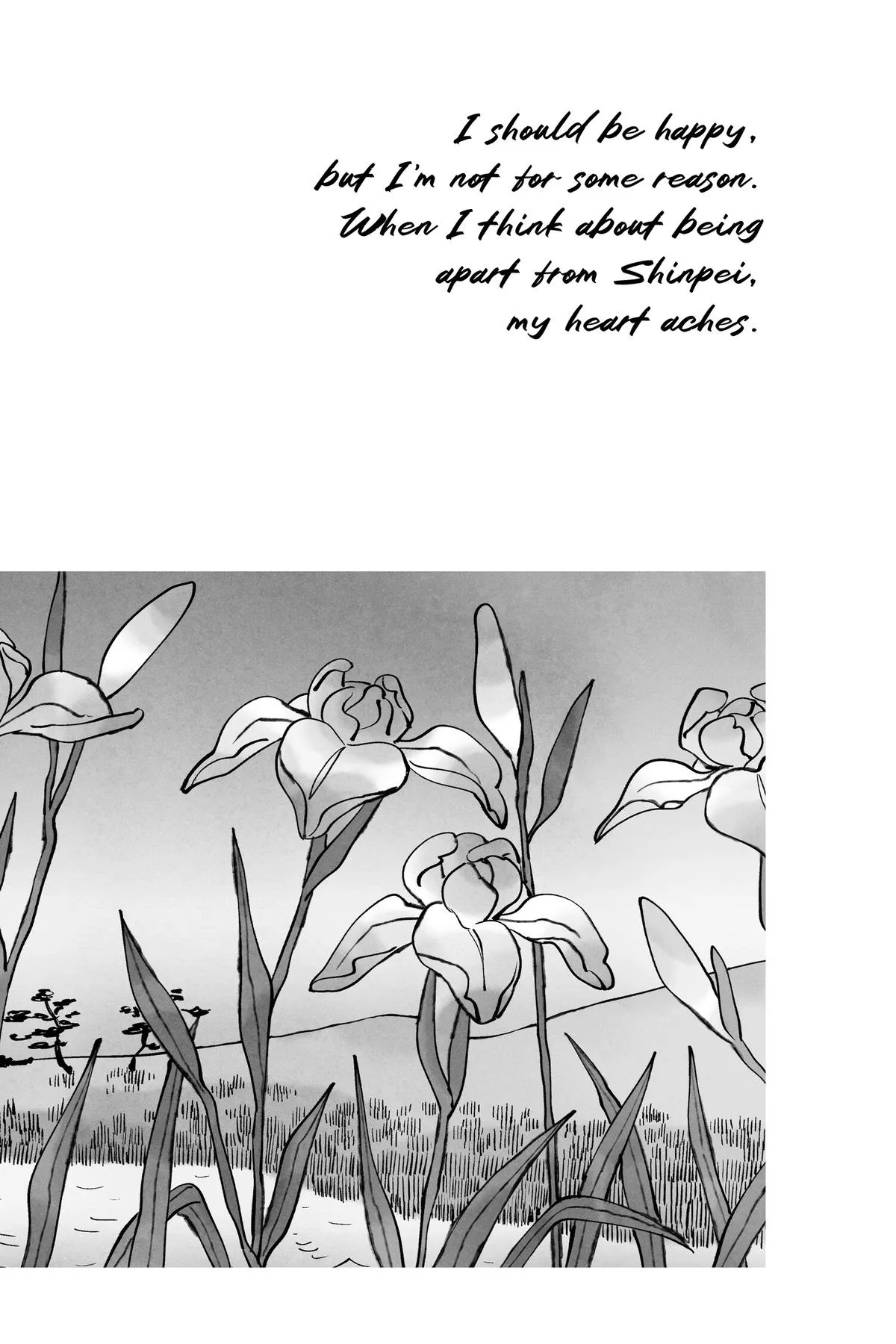 Read Firefly Wedding Manga Online