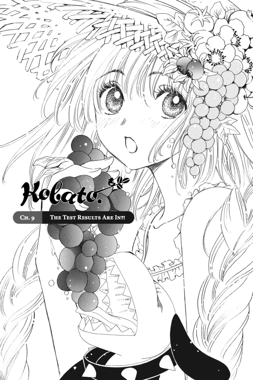 Read Kobato Manga Online