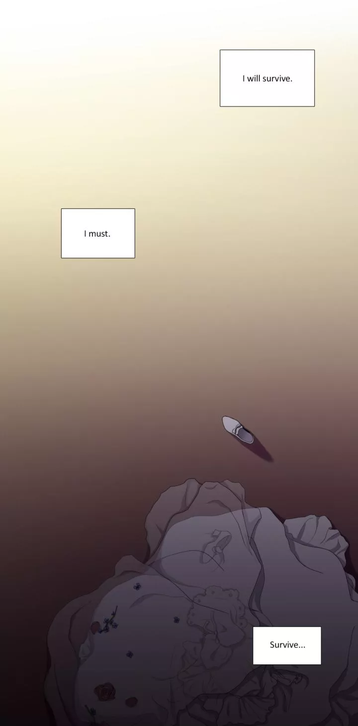 Read Light and Shadow Manga Online