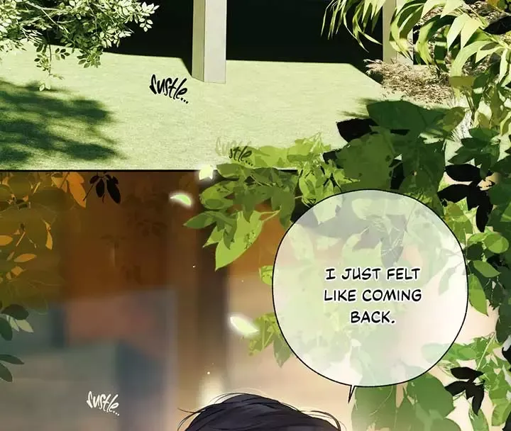 Read Love by Mistake Manga Online