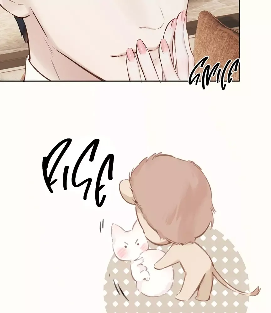 Read Love by Mistake Manga Online