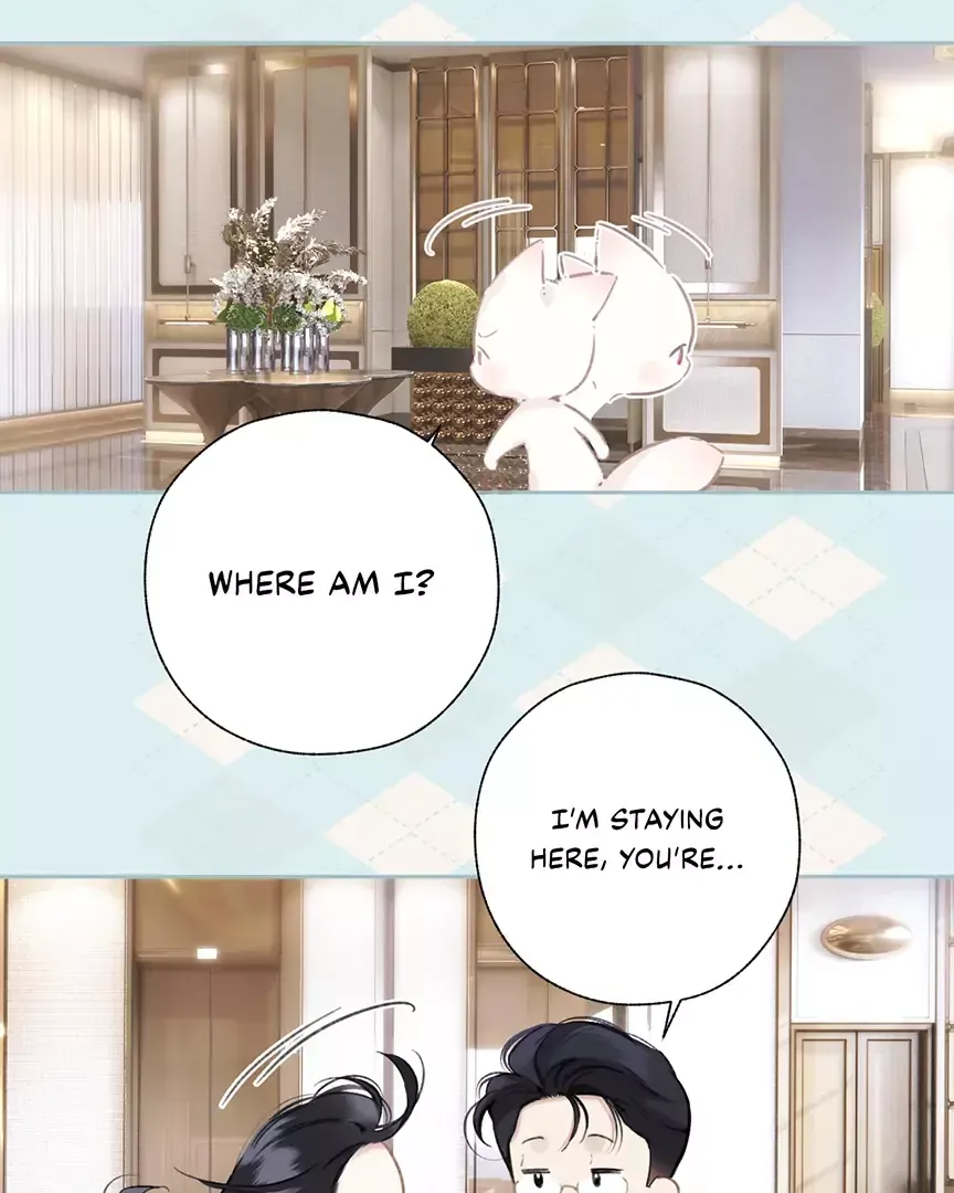 Read Love by Mistake Manga Online