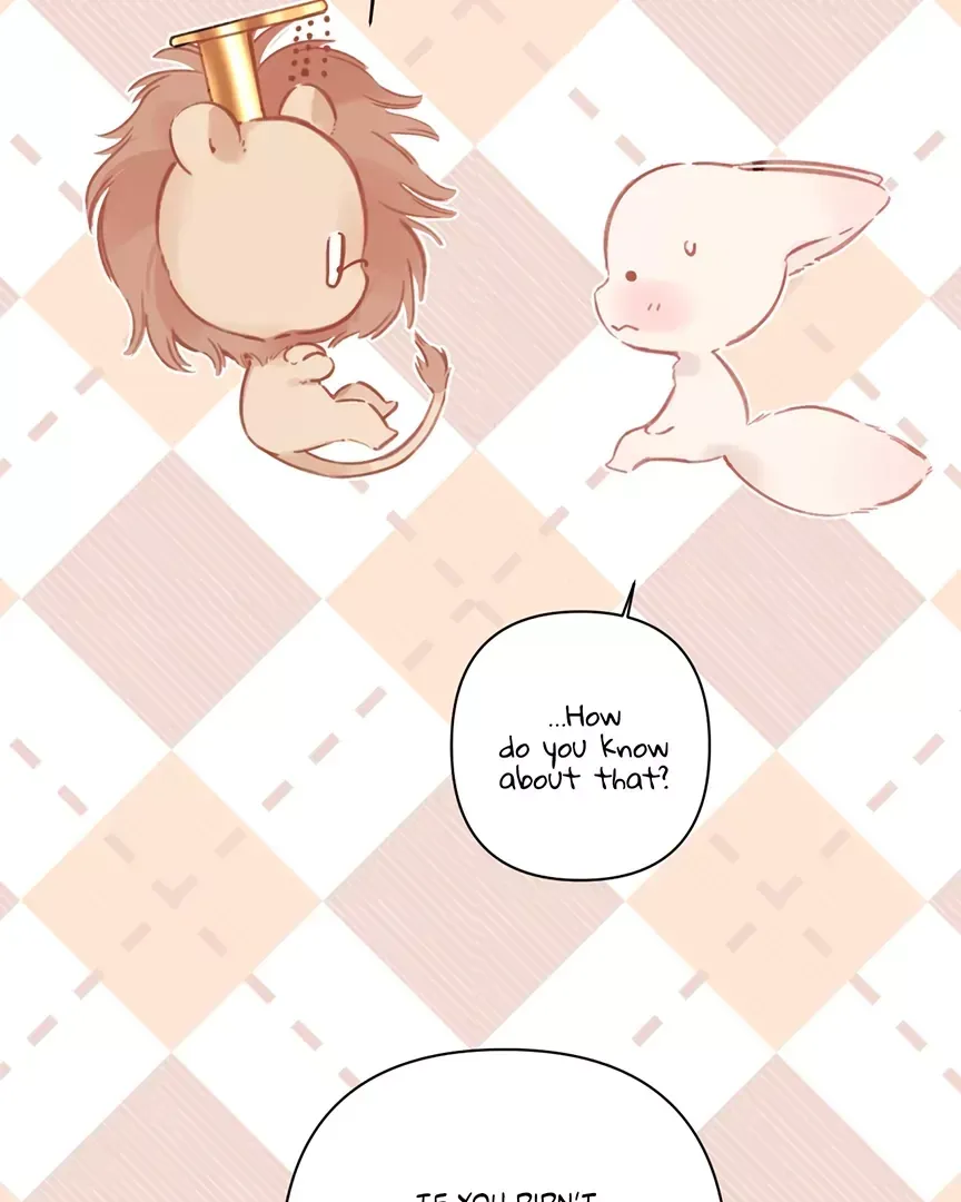 Read Love by Mistake Manga Online