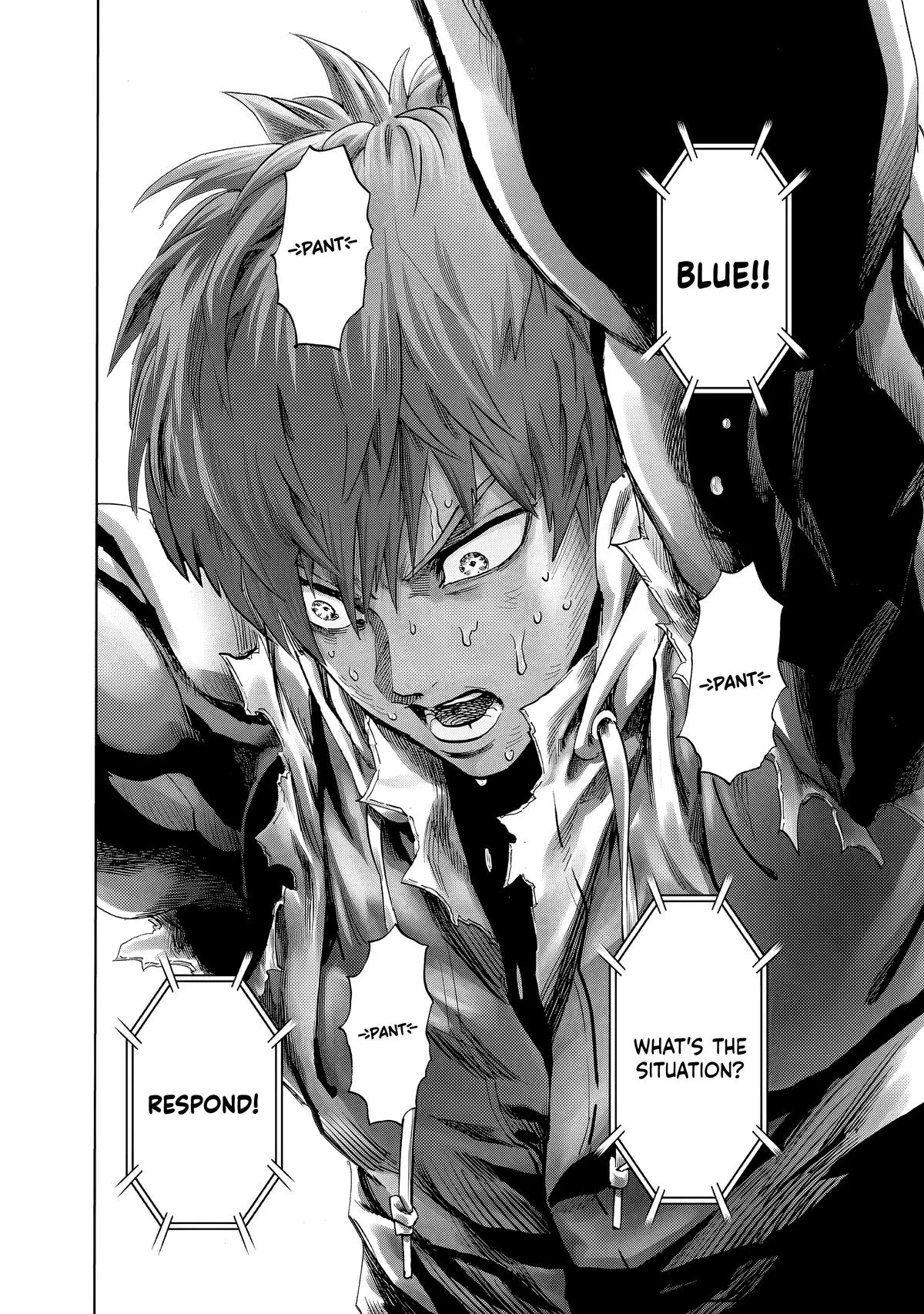 Read One Punch-Man Manga Online