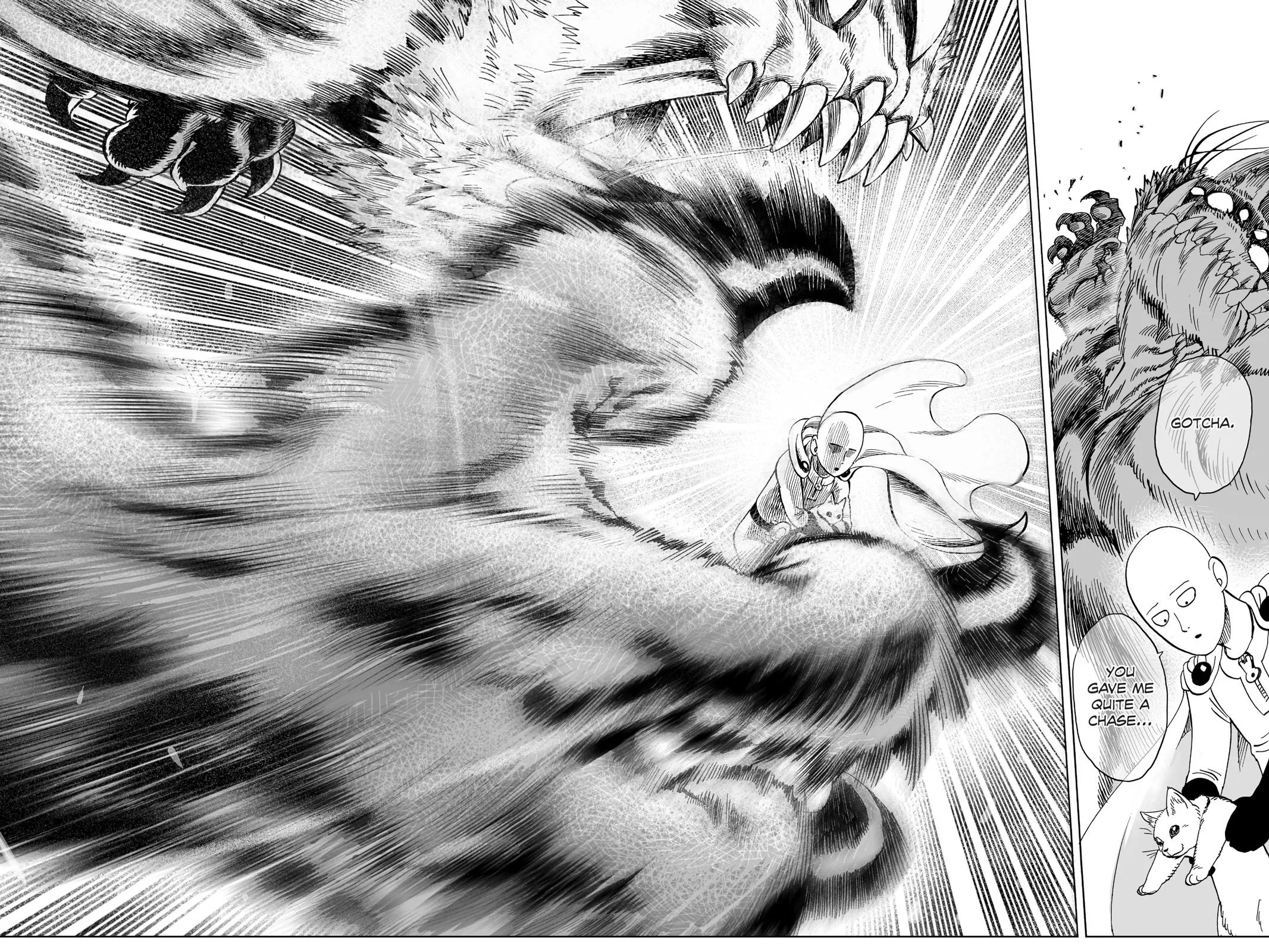 Read One Punch-Man Manga Online