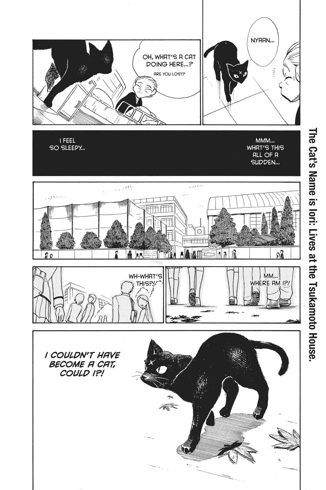 Read School Rumble Manga Online