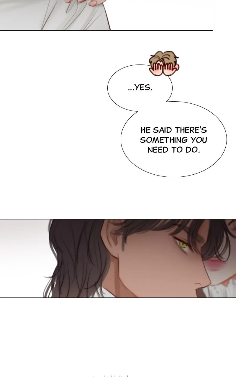Read Serena Manga Online