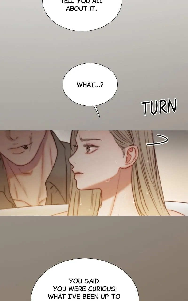 Read Serena Manga Online