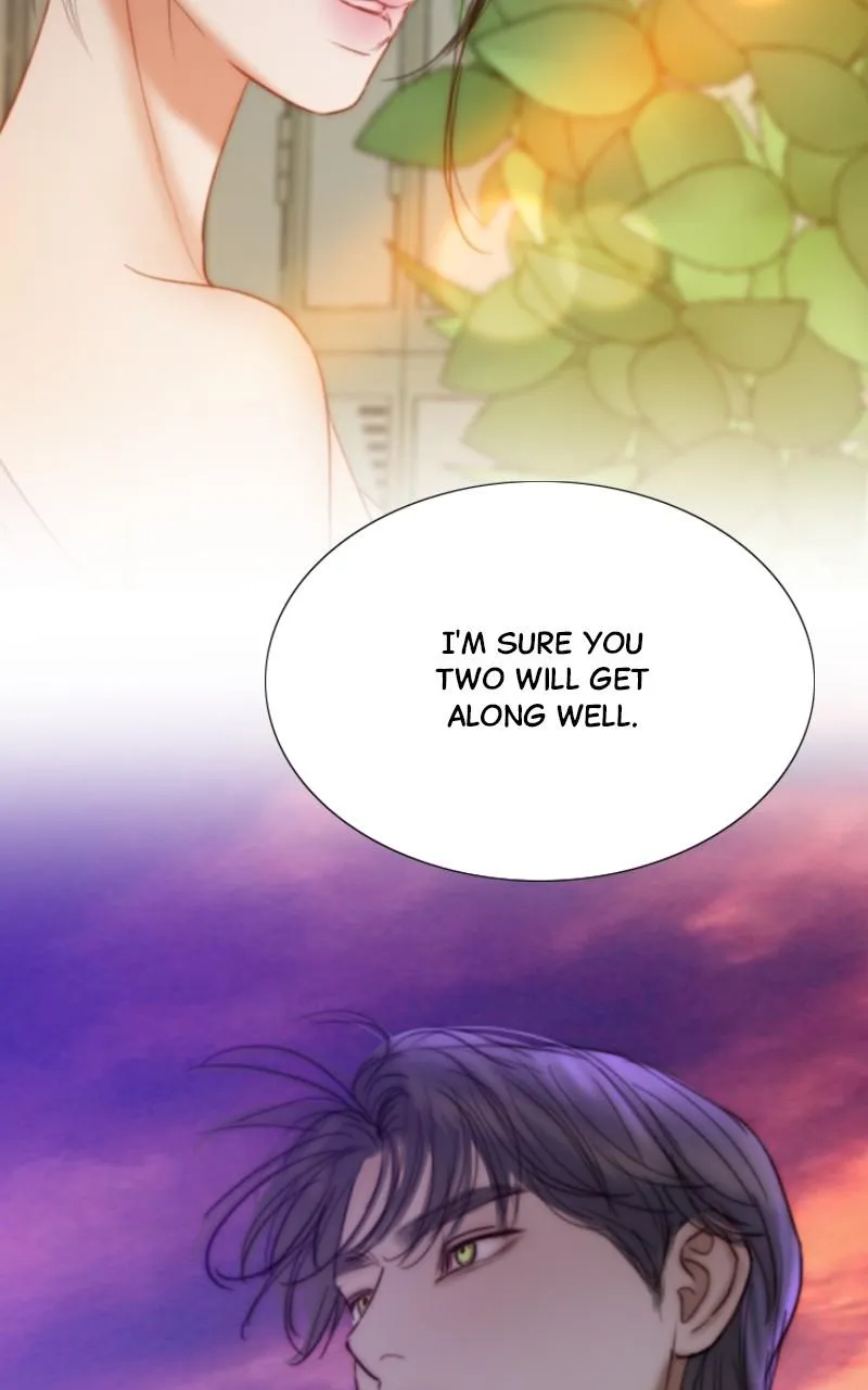 Read Serena Manga Online