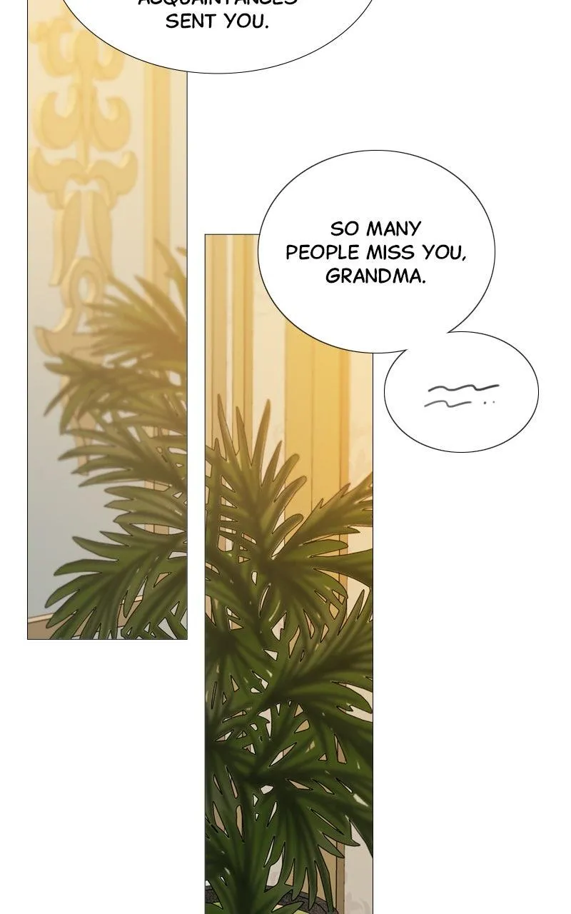 Read Serena Manga Online