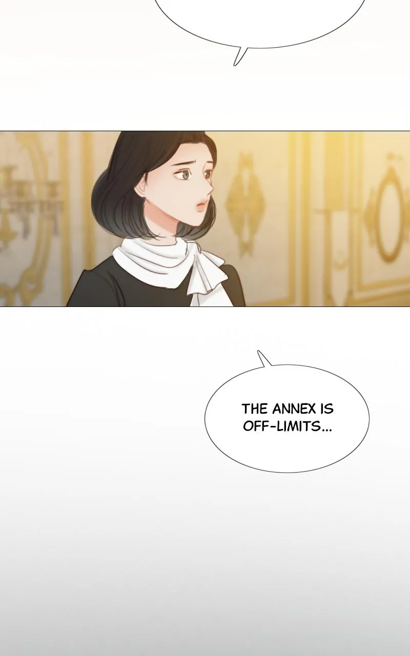 Read Serena Manga Online