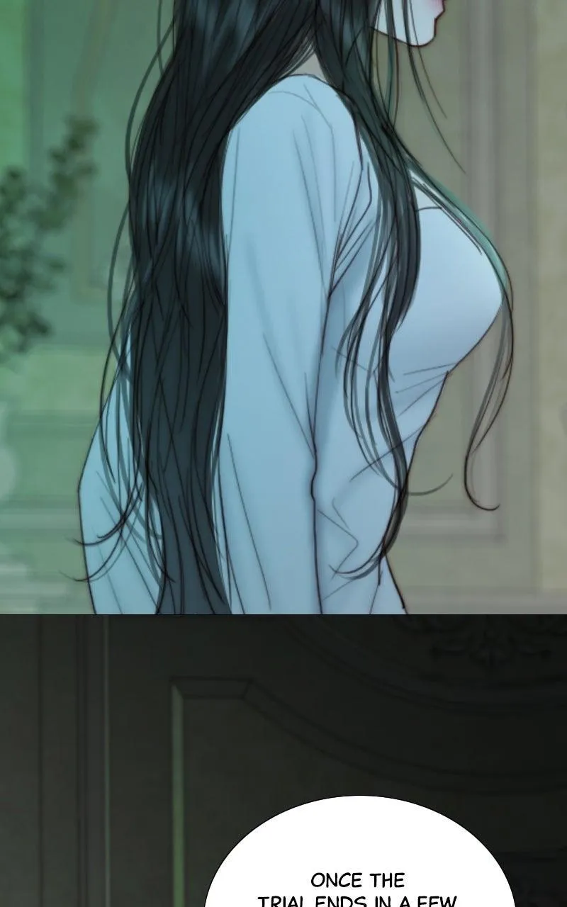 Read Serena Manga Online