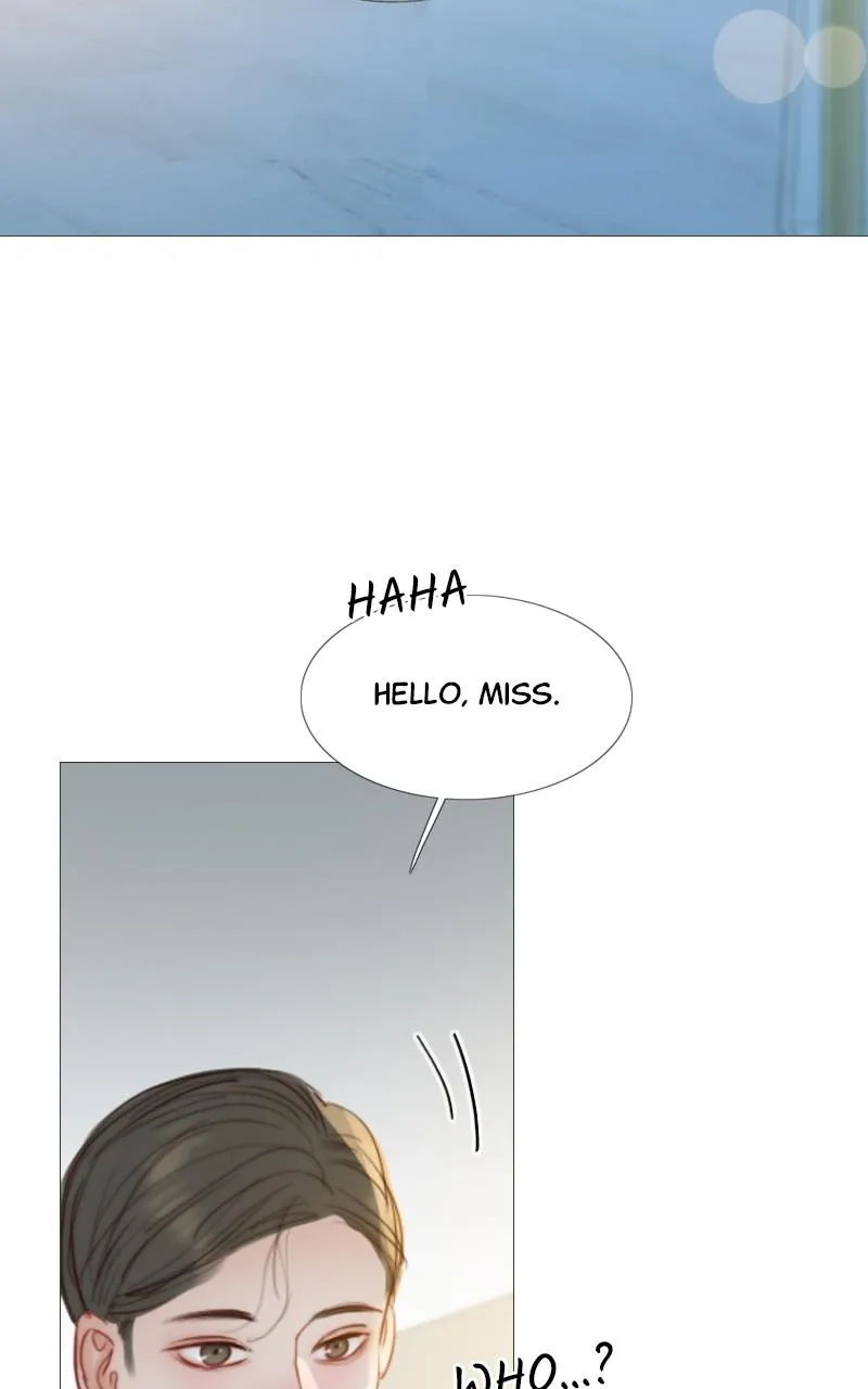 Read Serena Manga Online