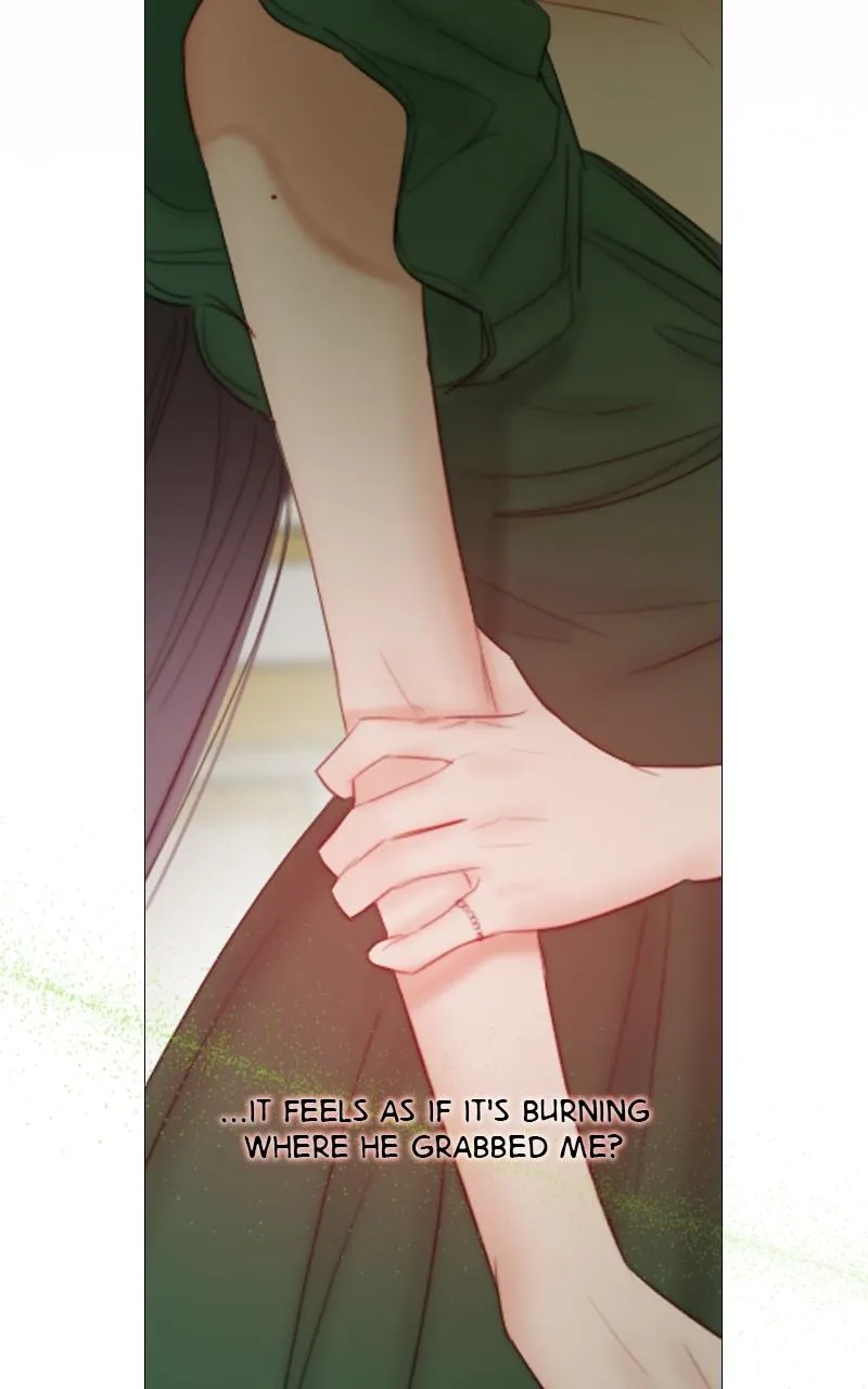 Read Serena Manga Online
