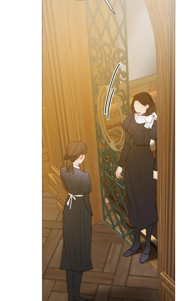 Read Serena Manga Online