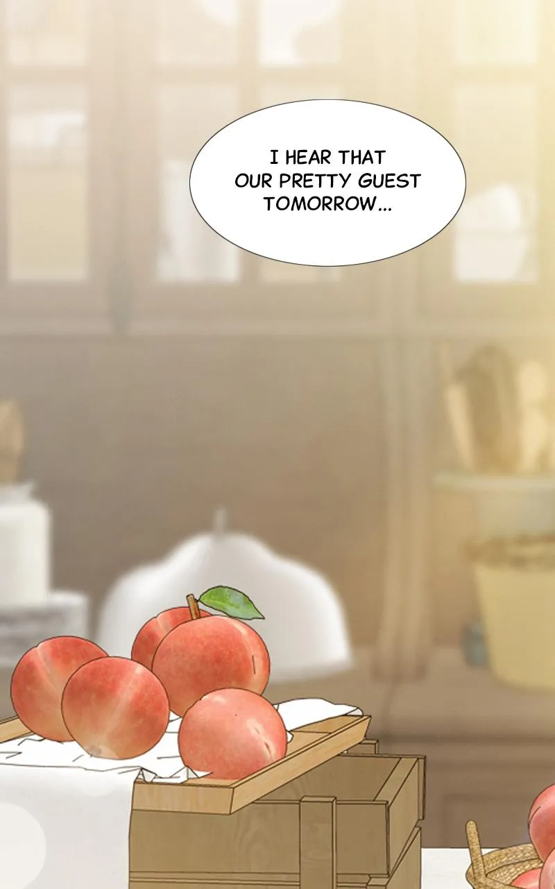 Read Serena Manga Online