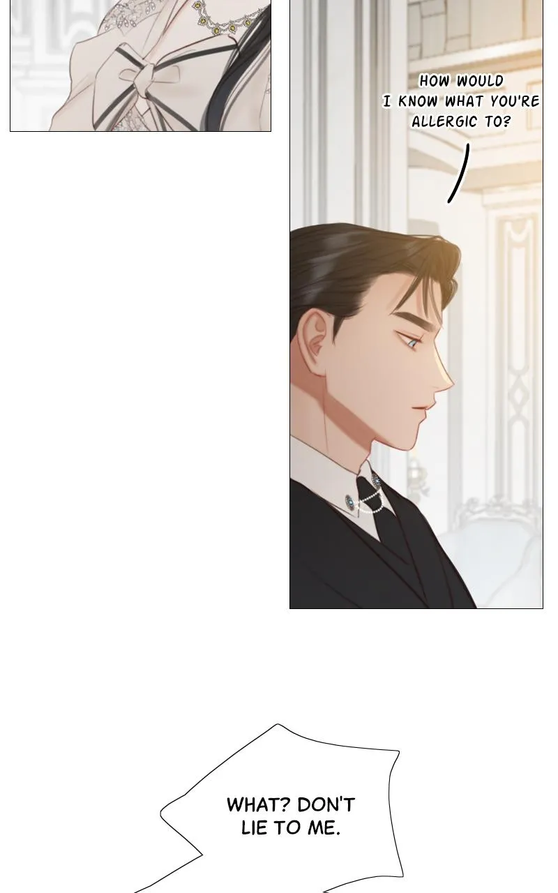 Read Serena Manga Online