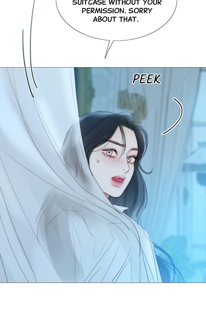 Read Serena Manga Online