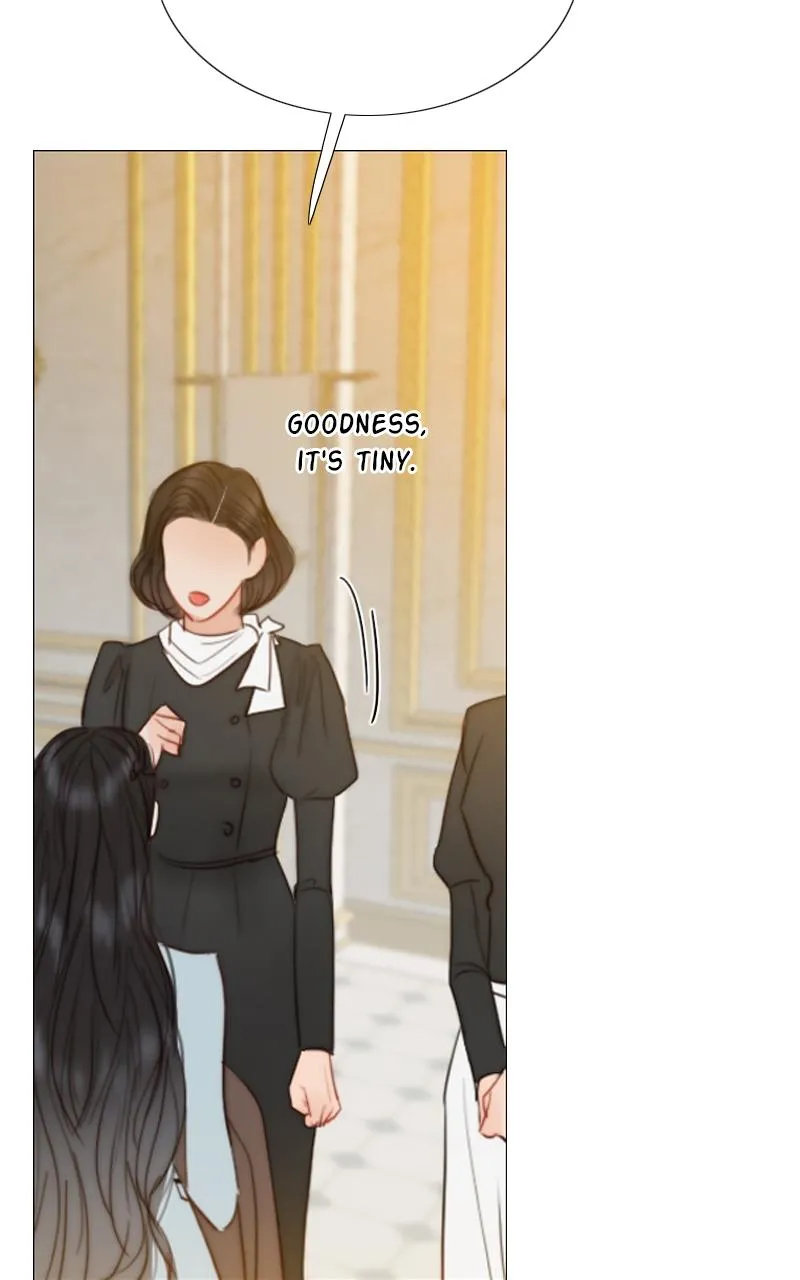 Read Serena Manga Online