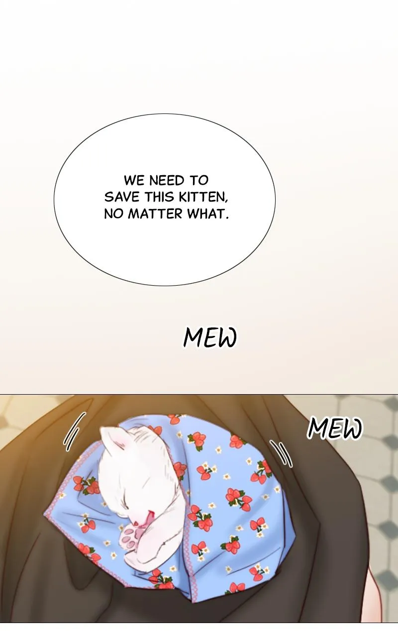Read Serena Manga Online