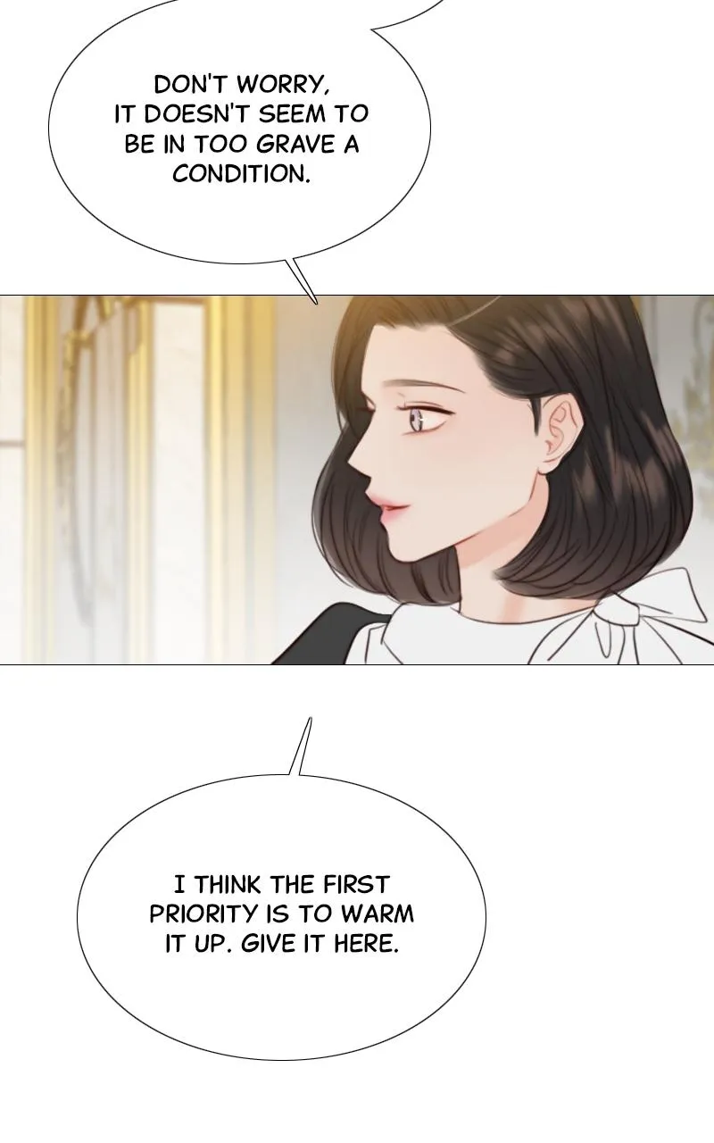 Read Serena Manga Online