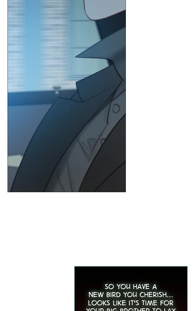 Read Serena Manga Online