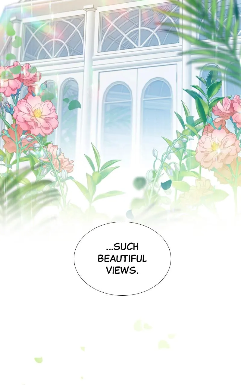 Read Serena Manga Online