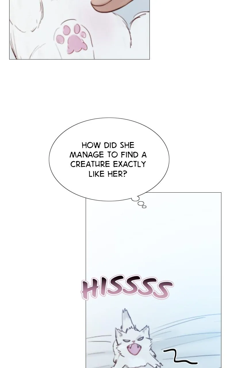 Read Serena Manga Online