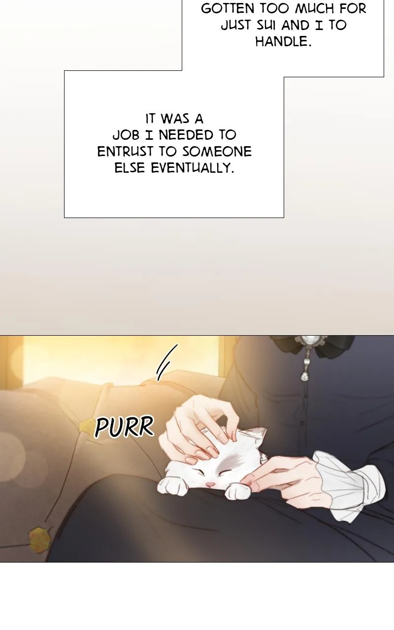 Read Serena Manga Online