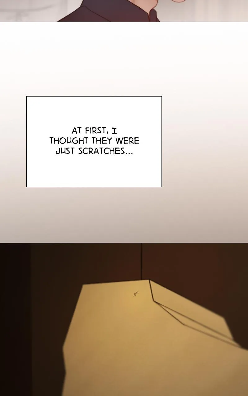 Read Serena Manga Online
