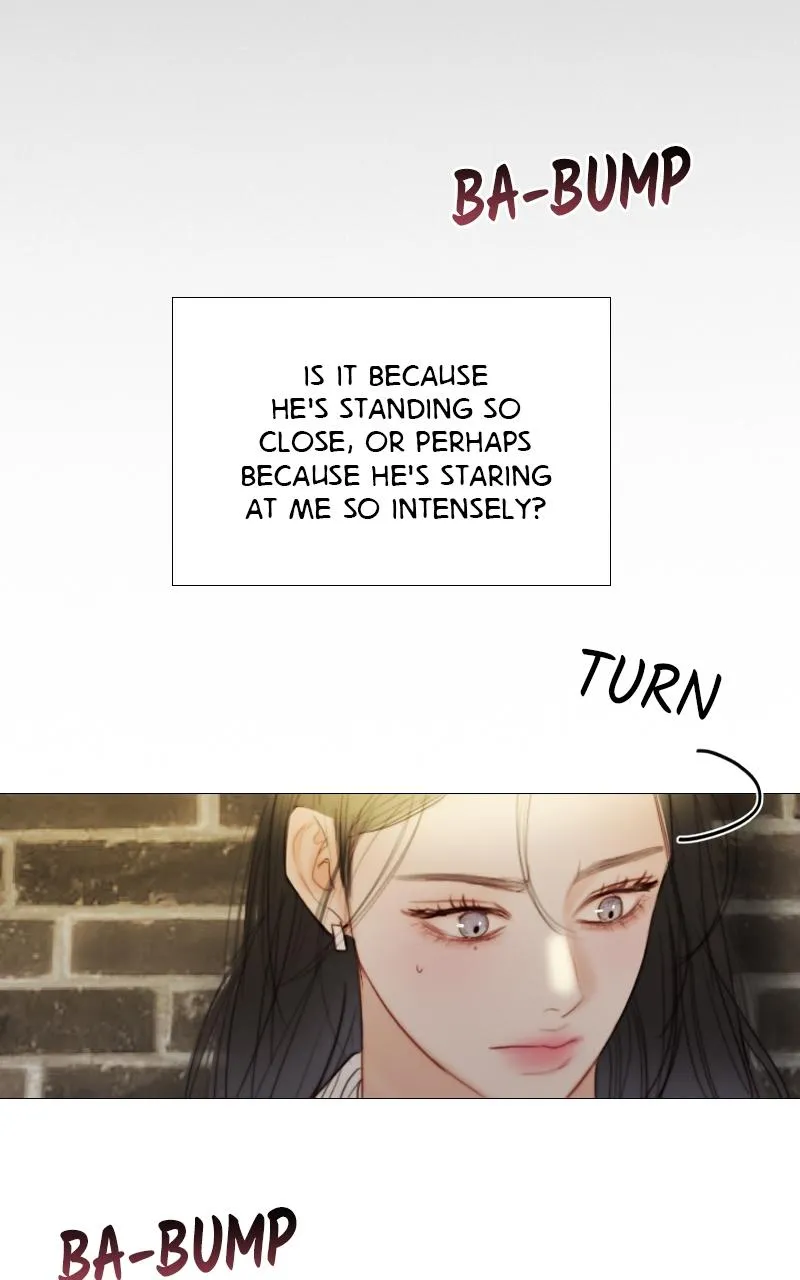 Read Serena Manga Online
