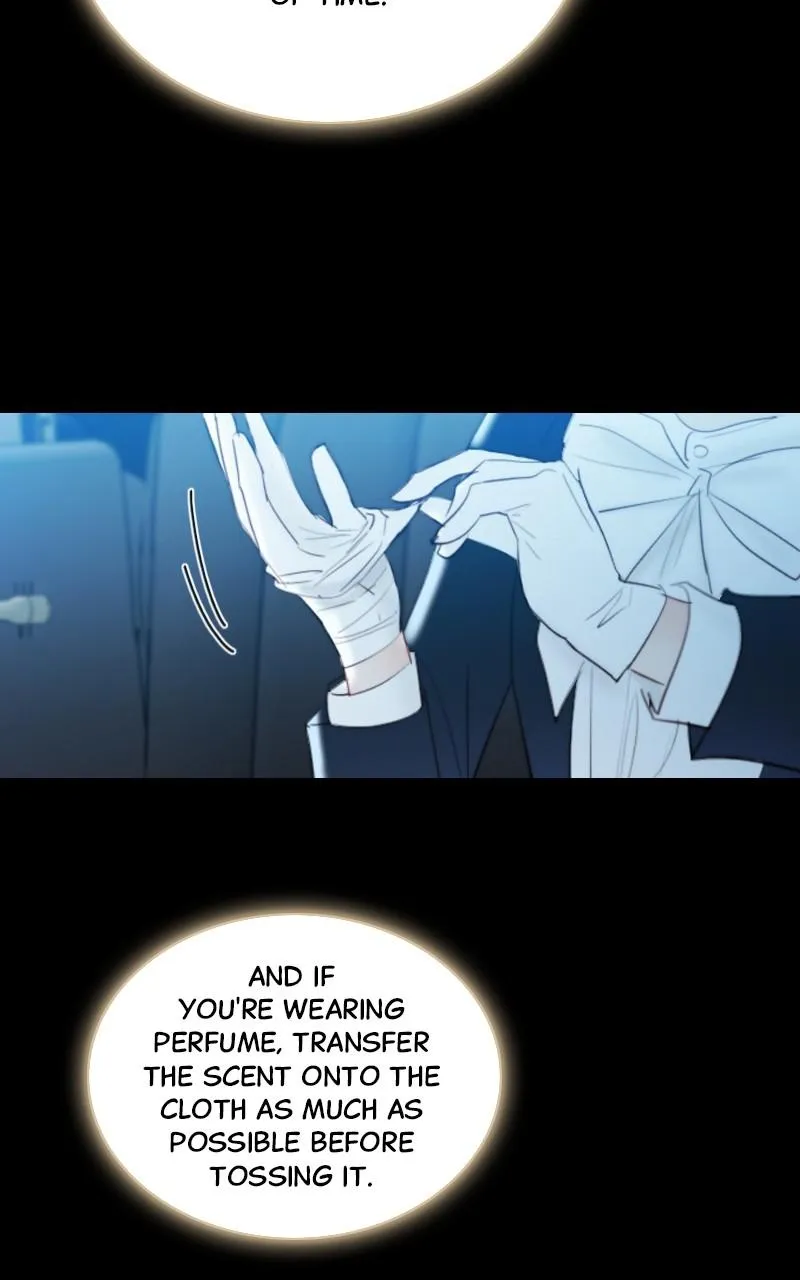 Read Serena Manga Online