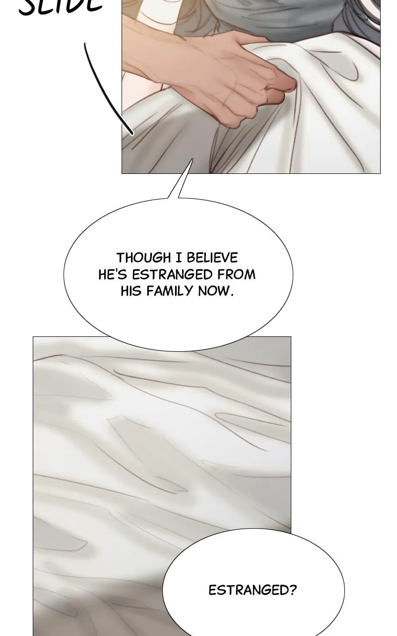 Read Serena Manga Online