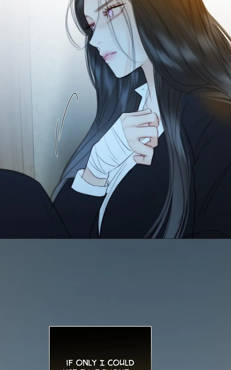 Read Serena Manga Online