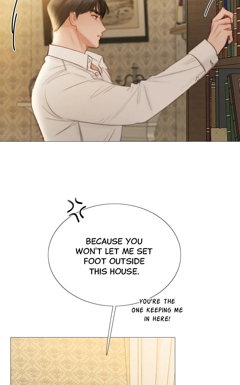 Read Serena Manga Online