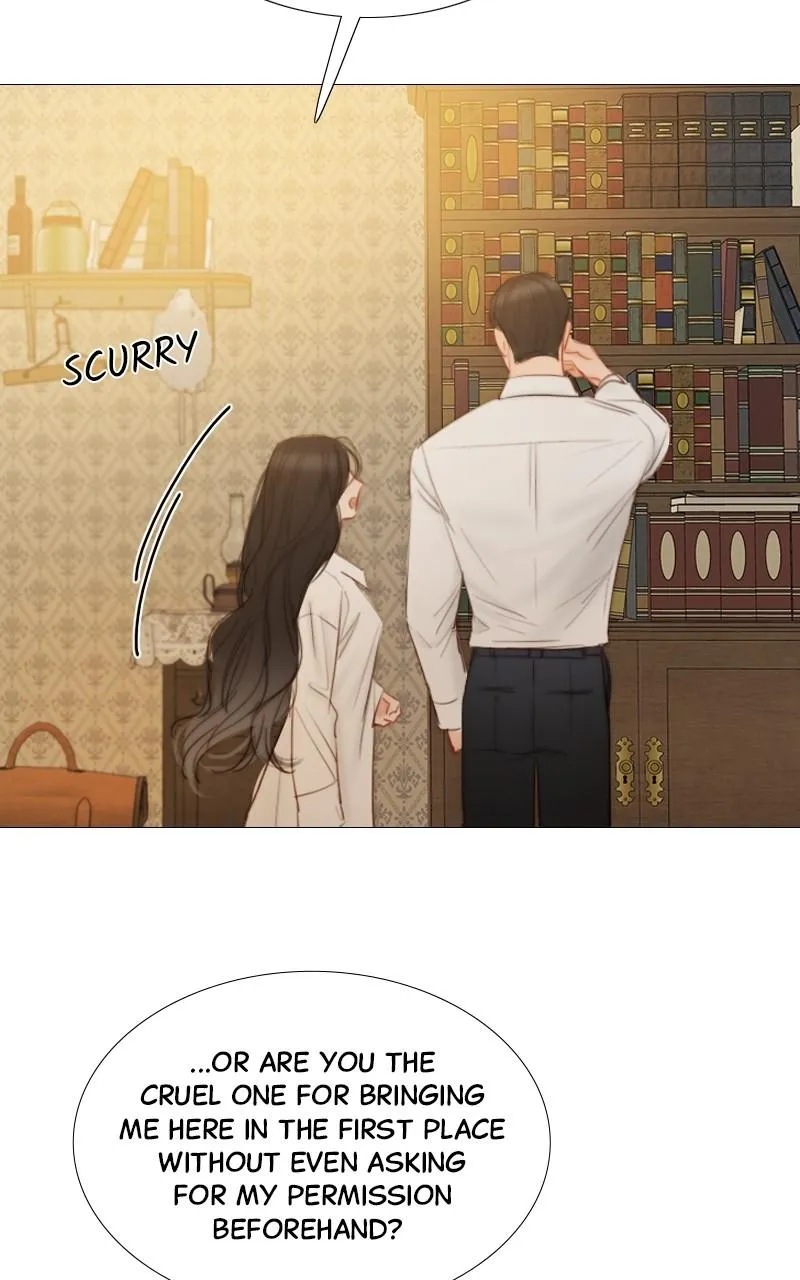 Read Serena Manga Online