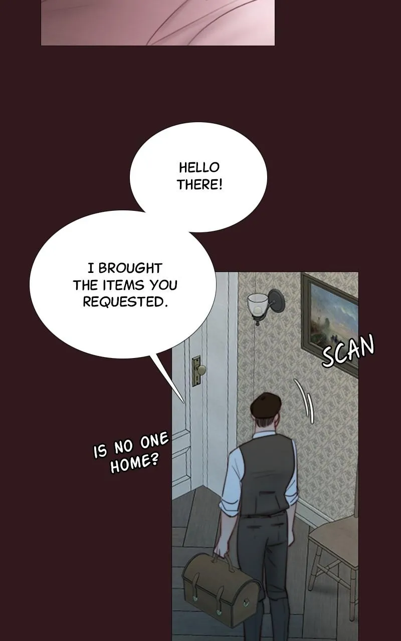 Read Serena Manga Online